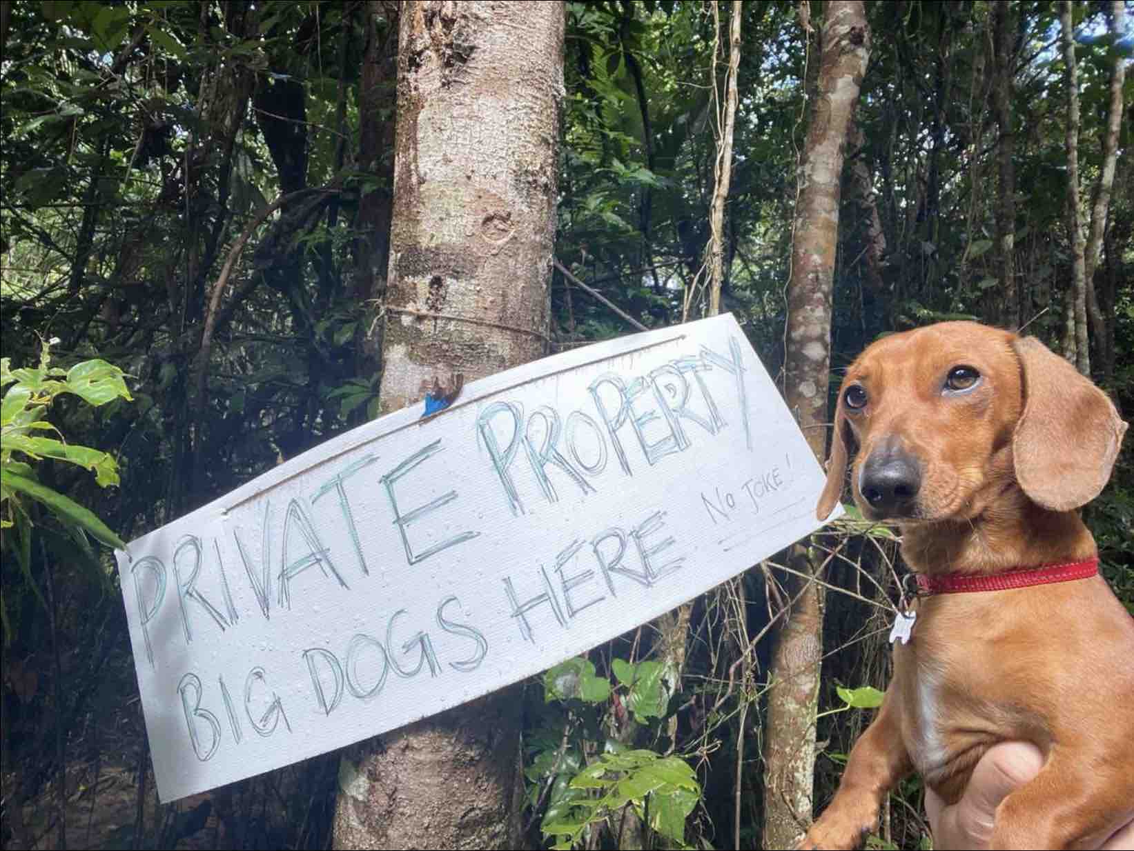 Executive Retreats Shambhala Dog Friendly