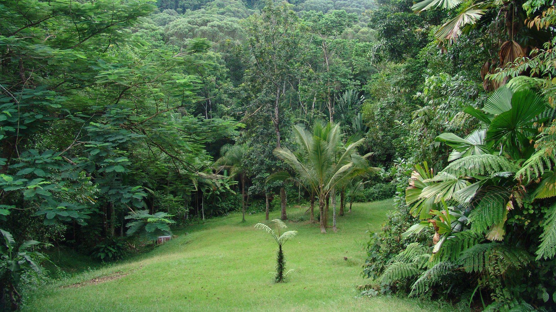 Shangri La 032