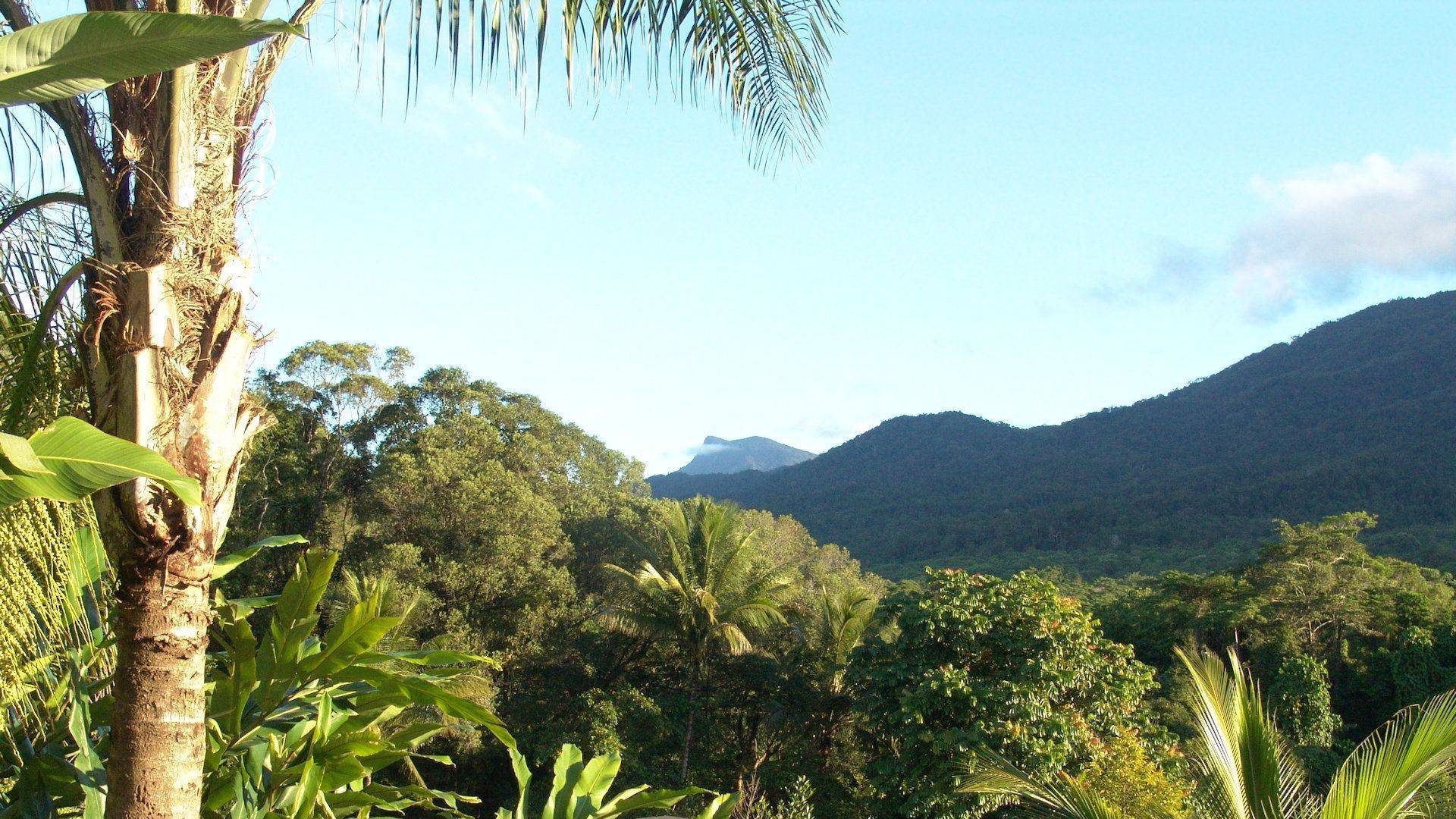 Shangri La 033
