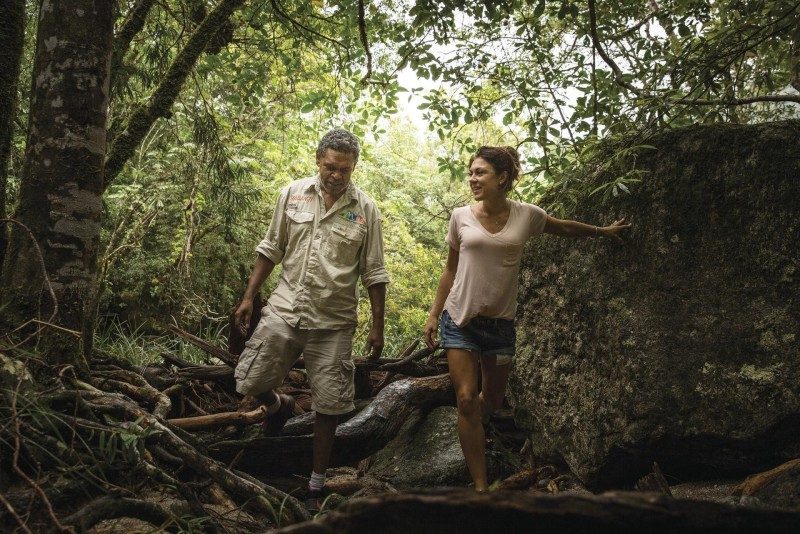 Mossman Gorge & Dreamtime walk